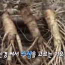 남사직로 네이버블로그