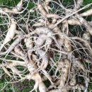 천종농장 이미지