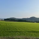 후포 월송정 민박 이미지