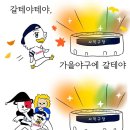 디비독 | [10월 특집] 부산바다마라톤