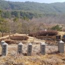 팔영산국립공원 이미지