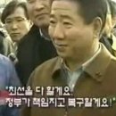 뿌리깊은 나무 이미지