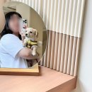 카페온어스 이미지