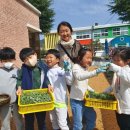 토지초교 이미지