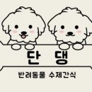 단댕 이미지