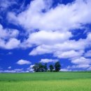 구름바람 이미지