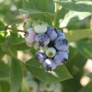 양남농장 이미지