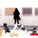 (주)더스푼