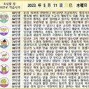 2023년 5월 11일 운세 및 세상 소식 이미지