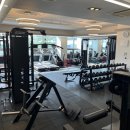 본앤머슬 이미지