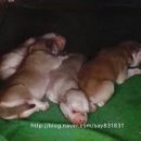 신세계농원 이미지