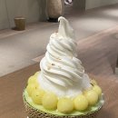 멜트빈 이미지