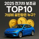 서해종합타이어 | 2025 전기차 보조금 TOP10 – 가성비 끝판왕은 누구?