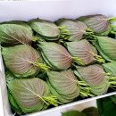 깻잎농원 이미지