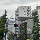 세븐일레븐 서산취평점 | 또또또 간 도쿄 3일차 (카멜백, 하브스, 돈카츠, 팔라스 사고 메구로 갔다가 우동신)