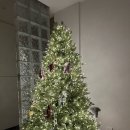 12/6 크리스마스 생화 트리 이미지