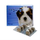 부천고강동물약국 이미지