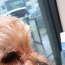 동인동물병원 이미지