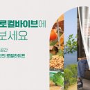 마포 바이브