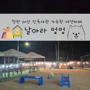 행복을 주는 노랑멍멍 | 천안 아산 애견카페 단독대관 가능한 애견운동장 날아라 멍멍 후기