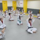 한양대 천하태권도 이미지