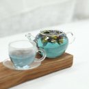 노란담장 이미지