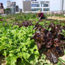 한창농장 이미지