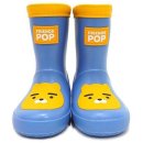 팝솔리드