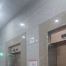 생활풍수 | [대전/중구] 대전 &lt;효제개운연구소&gt;에서 본 2026 신년운세 💛 | 사주부터 관상, 풍수까지 제대로 본 후기 ✨