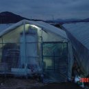 맑은나라 이미지