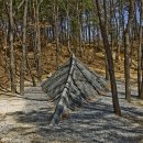 용의꼬리 이미지