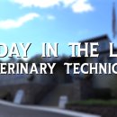 캐나다동물병원 이미지