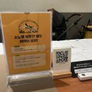 대원공구 | [홍천] 강아지를 위한 애견동반여행 - 공구 찬스로 다녀온 소노펫 리조트 + 순찰대 인증 선물 후기