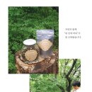 태양인 이제마한의원 이미지