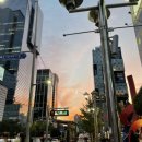 베트남쌀국수(Pho-490) 이미지