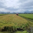 식이네농장 이미지