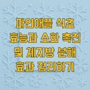 파인애플 식초 효능과 소화 촉진 및 체지방 분해 효과 정리하기