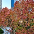 연향동물병원 이미지