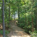 도봉-쌍문-도봉-1139 이미지