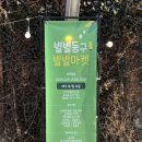 하이고래협동조합 이미지