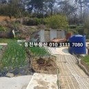 합성동270 이미지