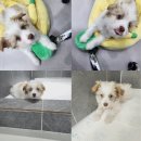 인동43길-6 이미지