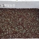 예닮농장 이미지