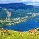 스위스파크 호스텔 | 여자 혼자 떠나는 안전한 해외 여행지 추천