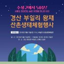 육동로 네이버블로그