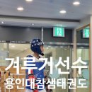 용인대 참샘 태권도 네이버블로그