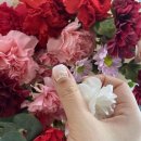 (주)루미가넷 이미지