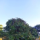 영상테마파크 주차장화장실 이미지