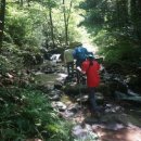 휴양림길 이미지