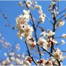 태양농원 이미지